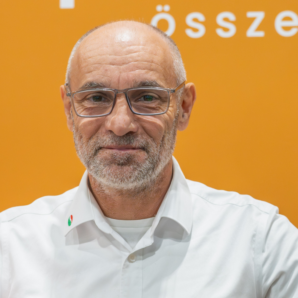Gulyás Tamás